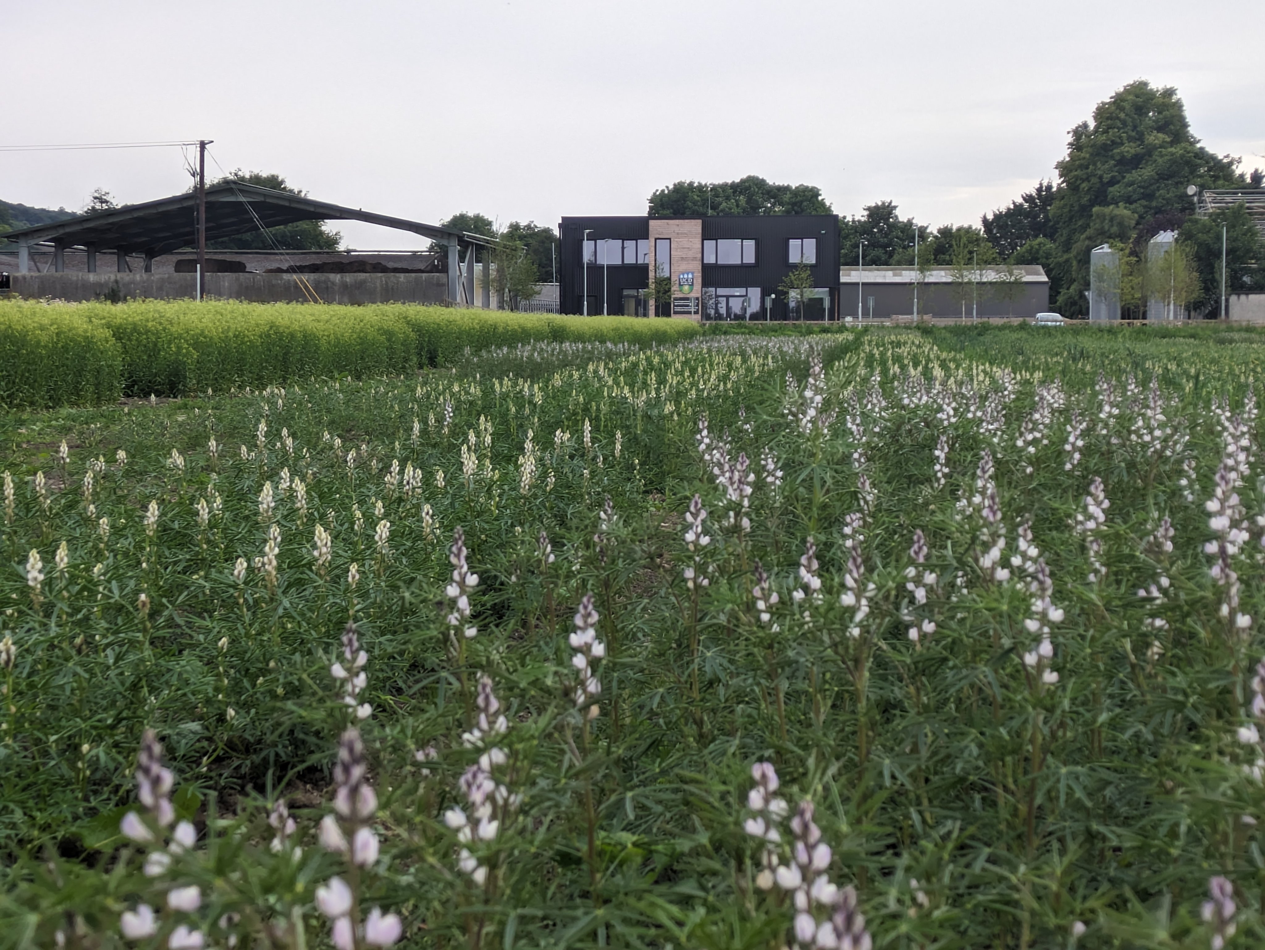 Your Journey Starts Here