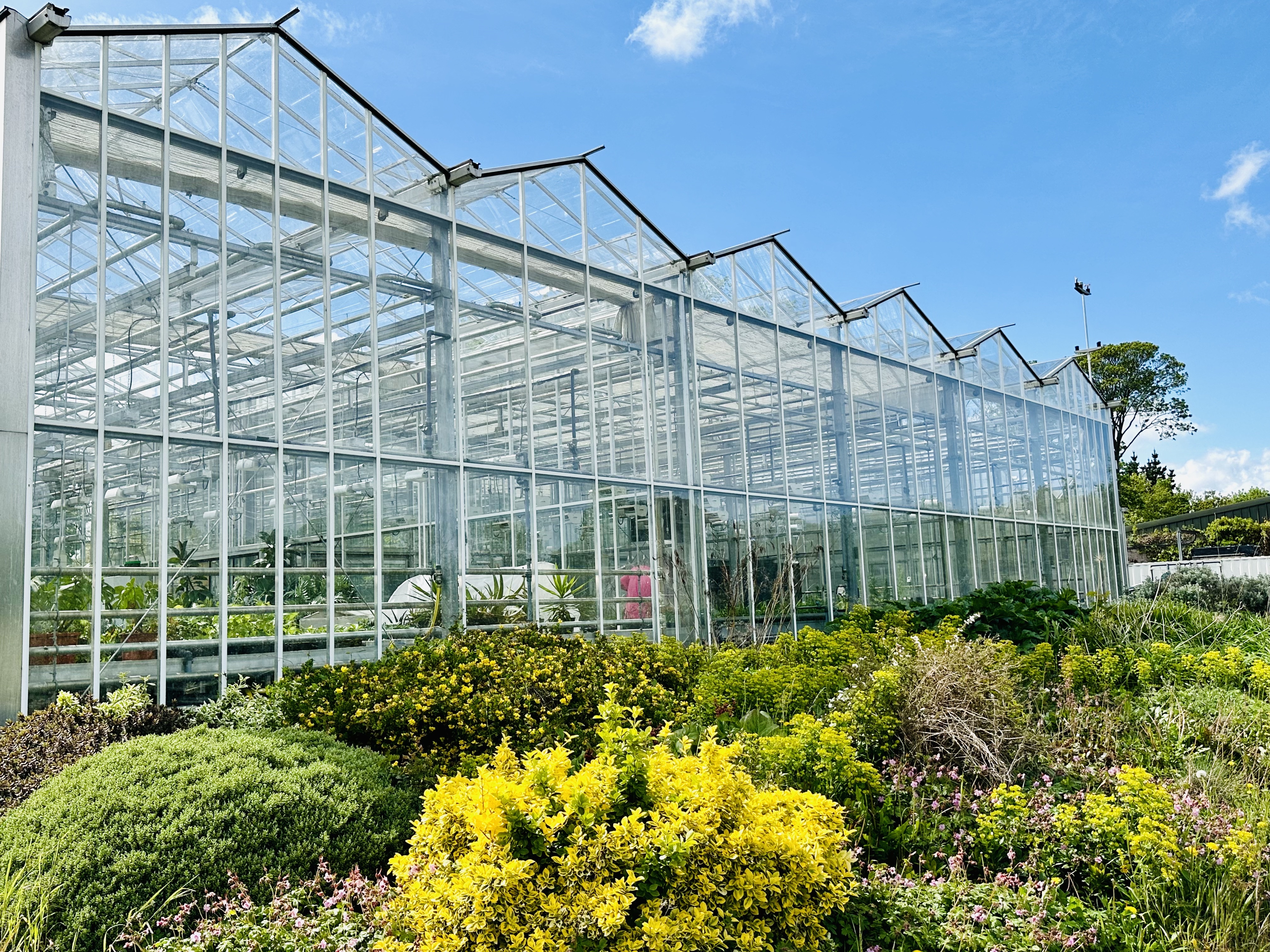 Applications are invited for an academic post in Horticulture. 