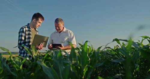 UCD & Macra Agricultural Skillnet - MSc Agricultural Extention and Innovation now open for applications