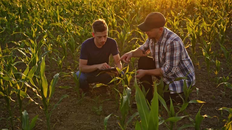 UCD & Macra Agricultural Skillnet - MSc Agricultural Extention and Innovation open for applications