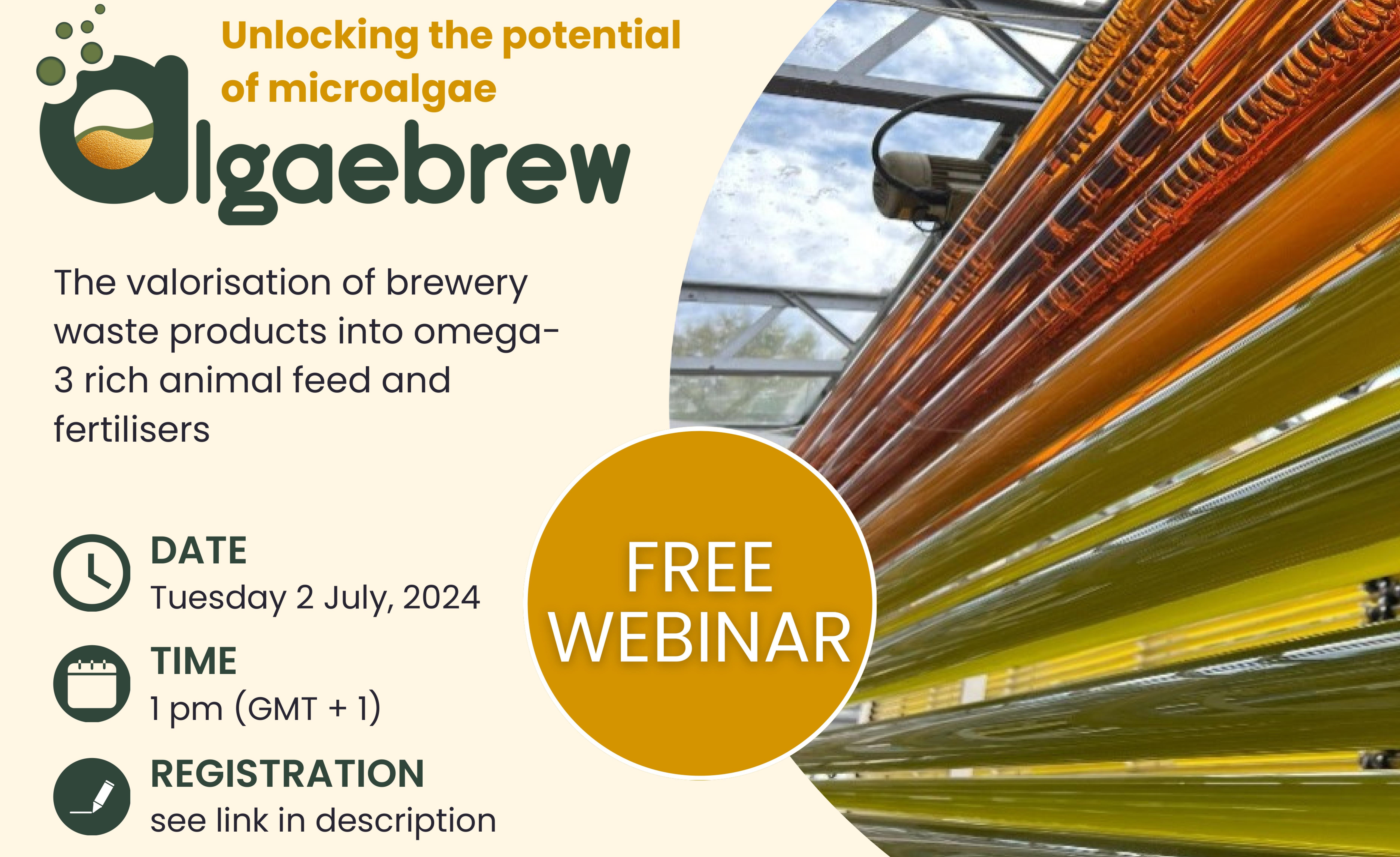 AlgaeBrew Webinar