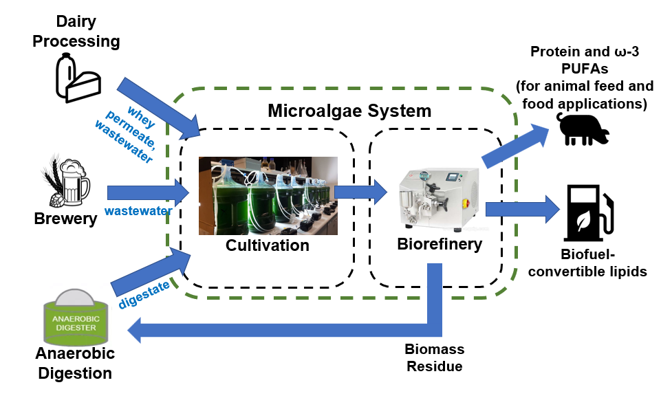 Research Overview