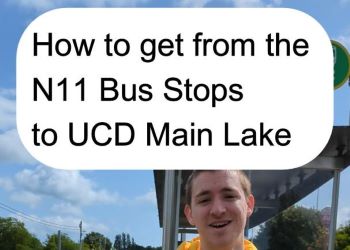 Getting from N11 Bus Stops to the lake