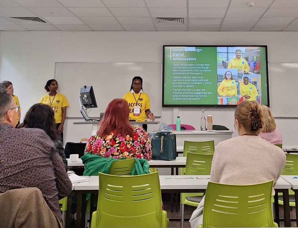 What activities are Access Leaders involved in?