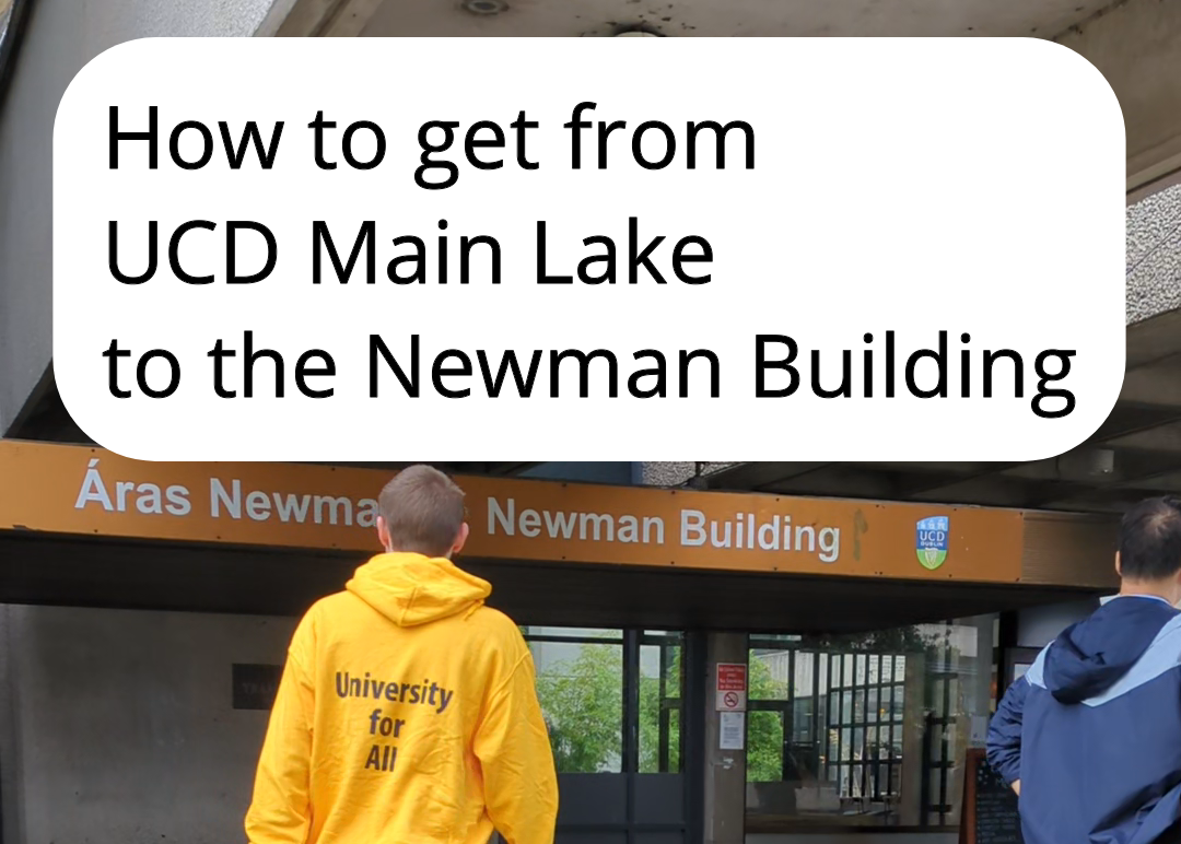 Getting to the Newman Building