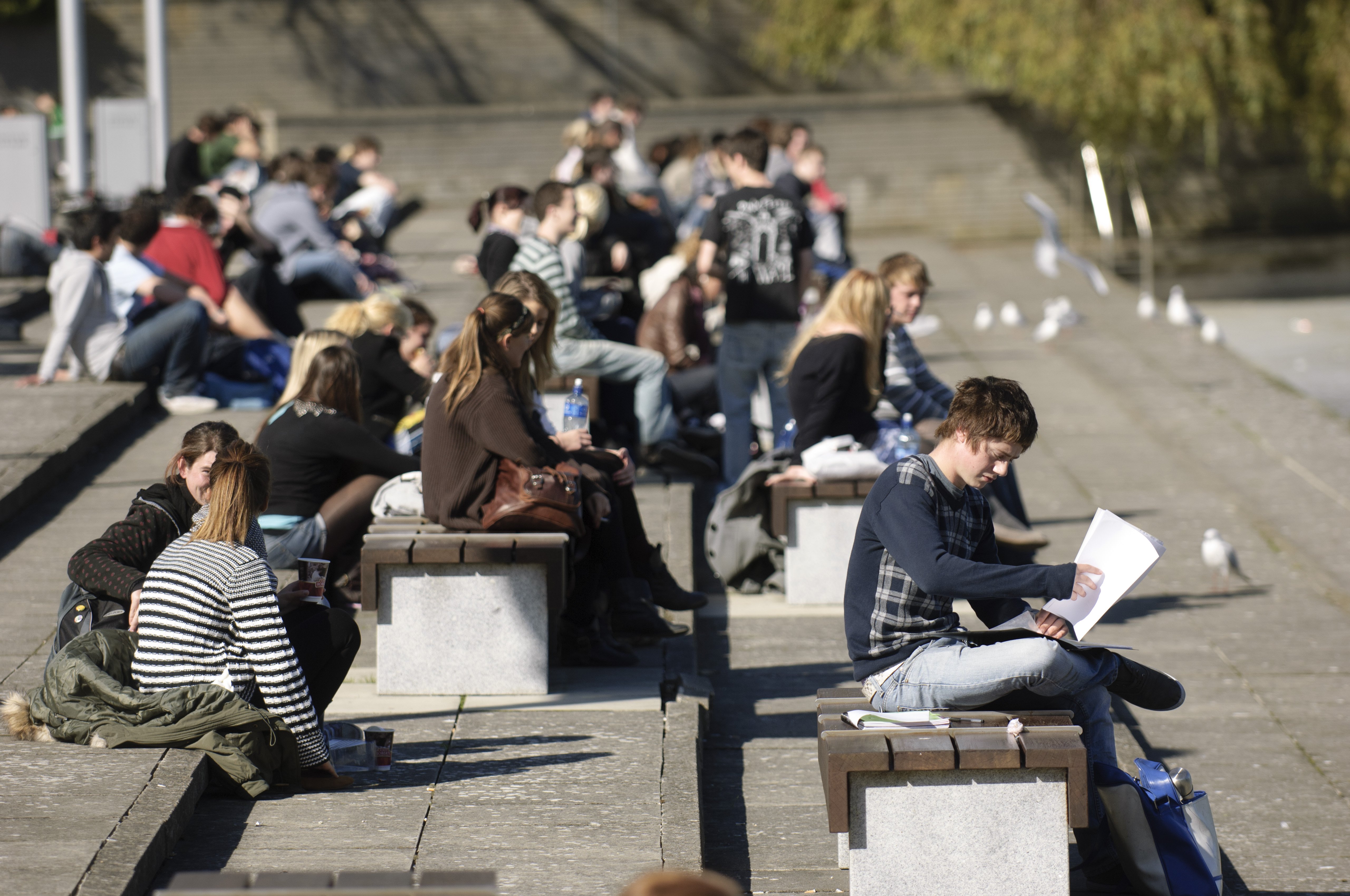 Students sitting by the main lake on UCD Belfield campus