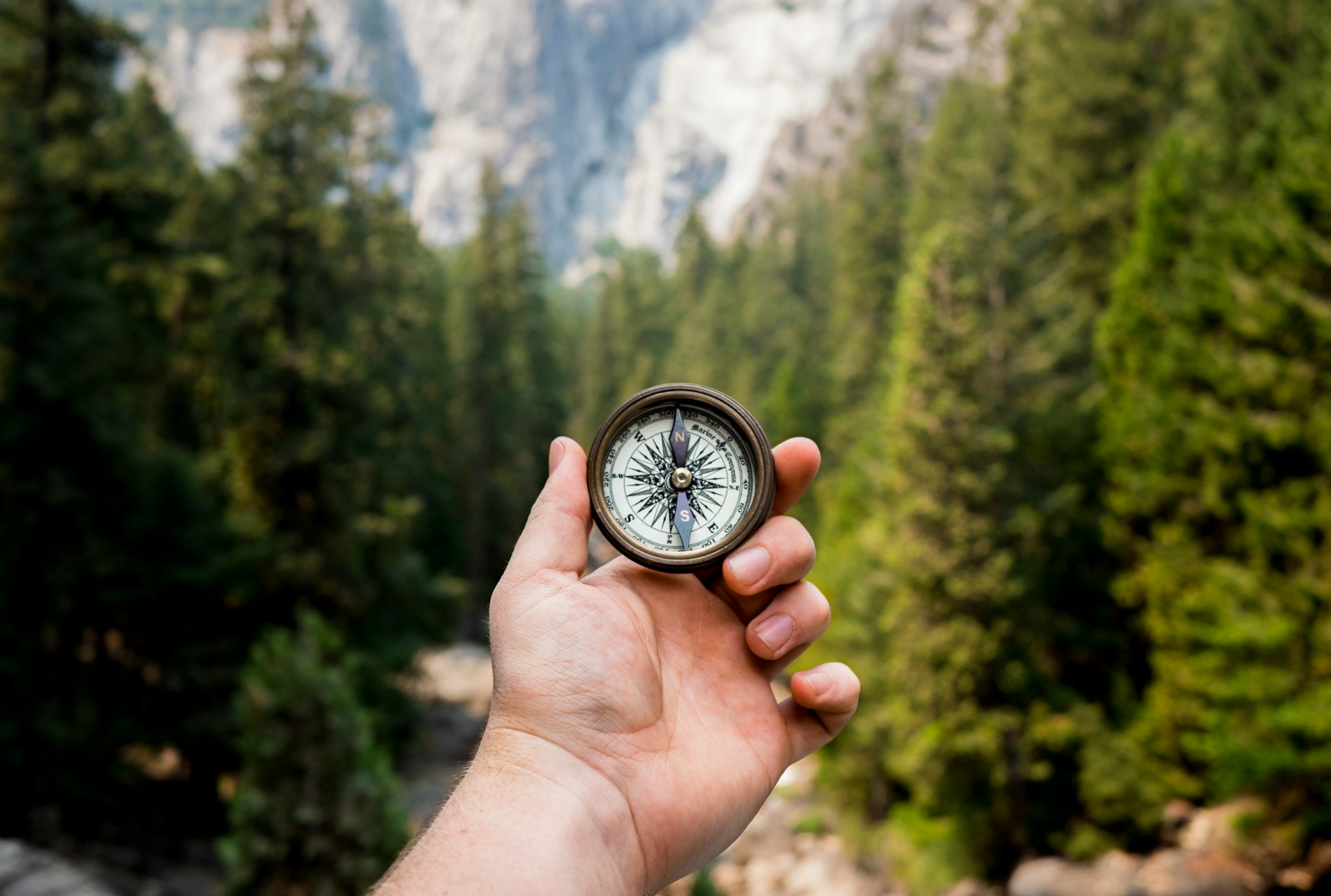 A hand holding a compass in the forest