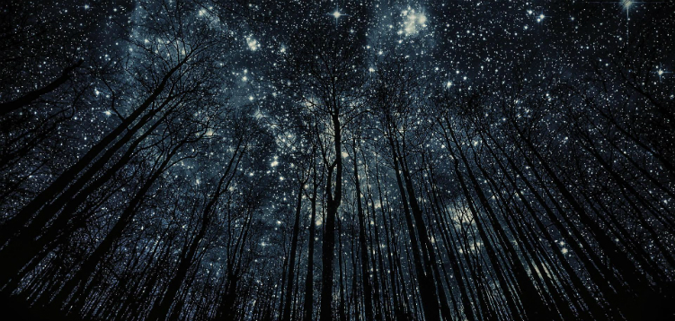 Extenuating Circumstances Deadline