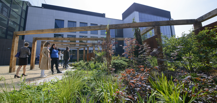 UCD Evolution of Land Plants Garden