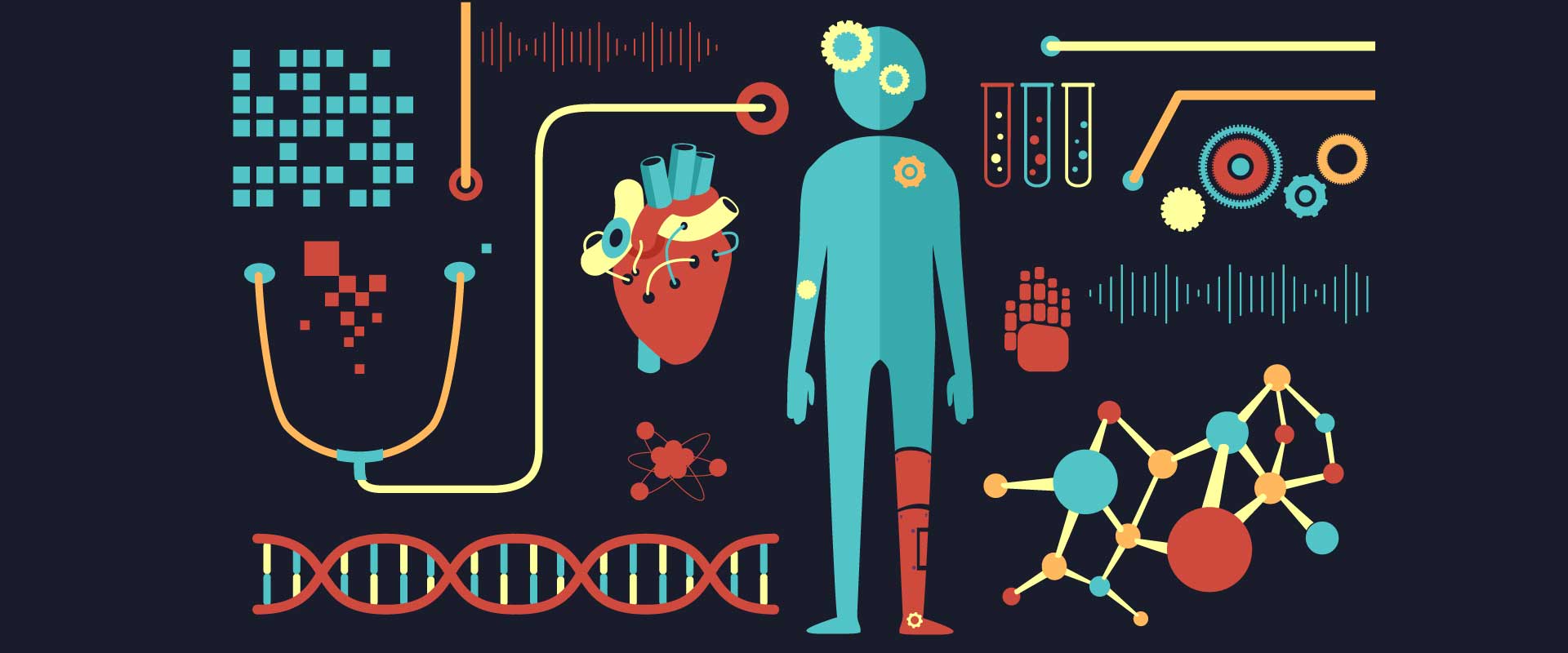 Bioengineering in Ireland 2025