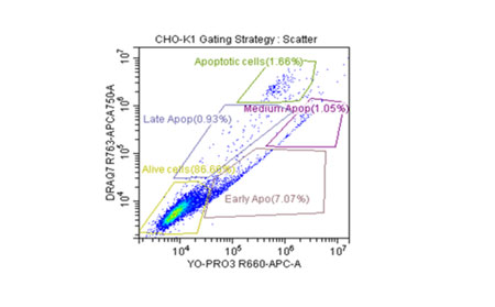 Role of autophagy in bioprocessing