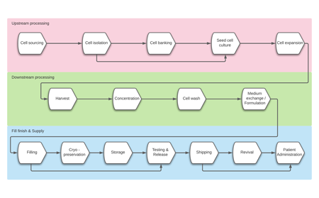 Cell therapy process flow