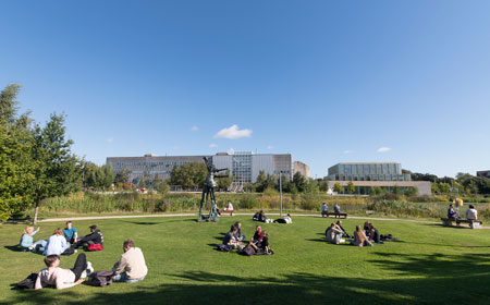 The College of Engineering on a sunny day