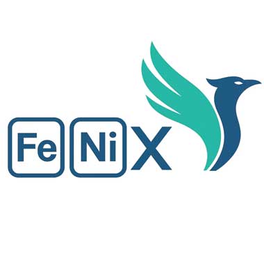 The FeNiX Project