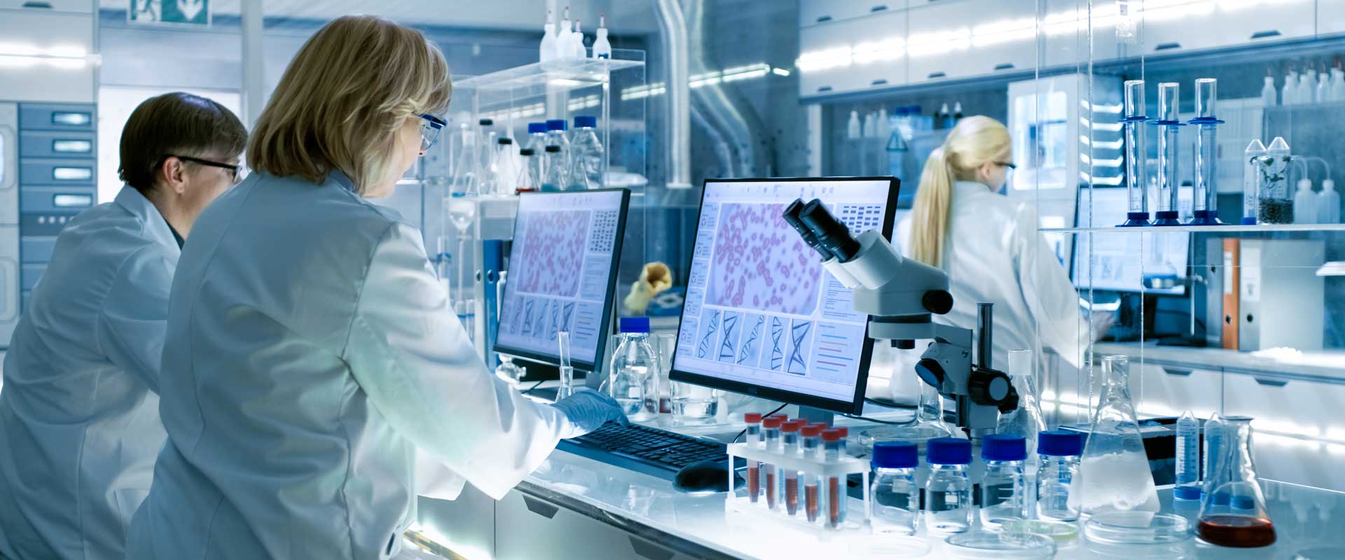 Chemical Engineers working in a lab