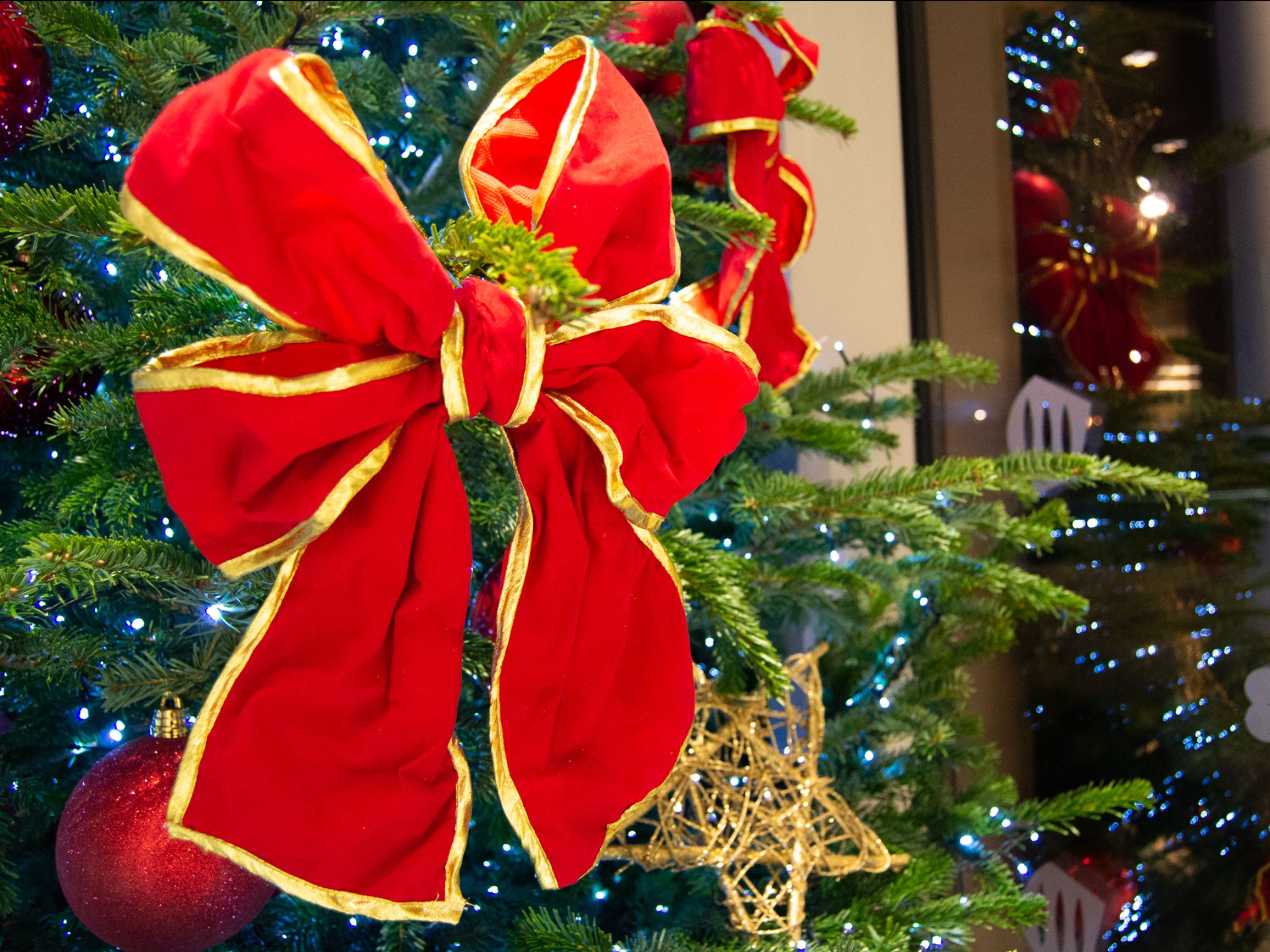 Red bow on a Christmas Tree