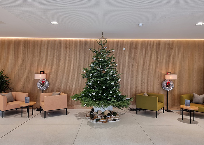 A Christmas tree at UCD University Club