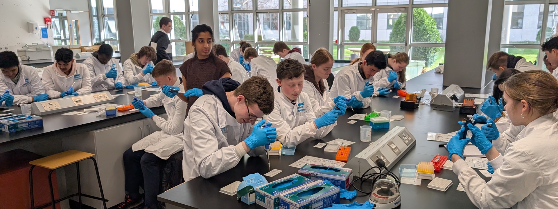 Transition Year pupil image