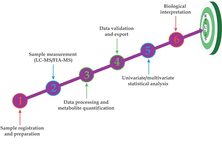 Linear progression targeted metabolomics workflow