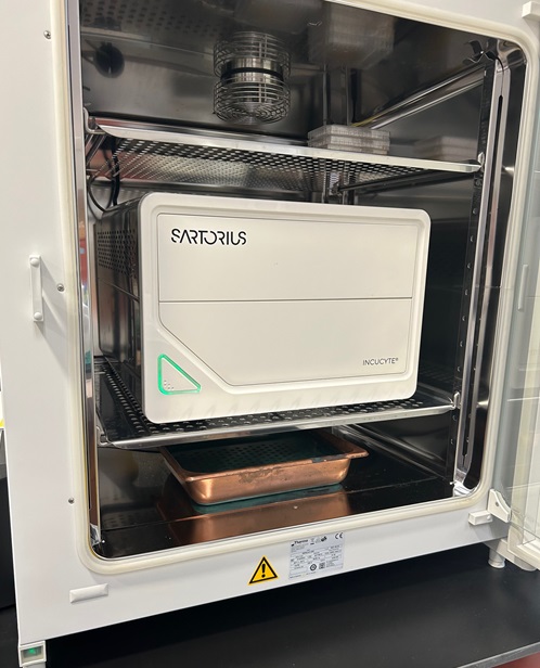 Equipment in an incubator