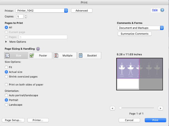 Adobe Acrobat print dialog