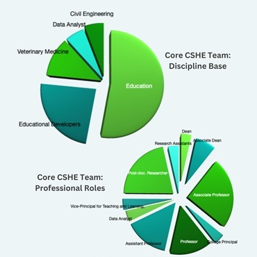 CSHE team disciplines and roles