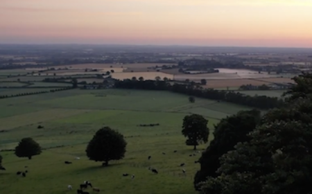 UCD supporting students, researchers and ag-tech startups to produce food more efficiently, helping safeguard the supply of food for our growing world and creating a sustainable global society