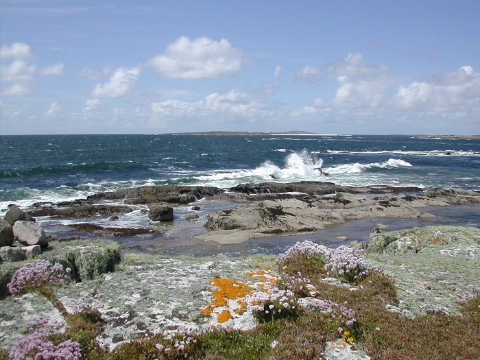 Irish coastal view