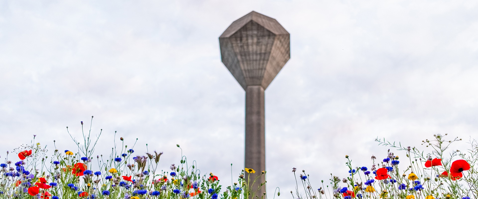 UCD Watertower