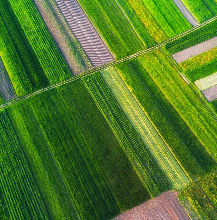 image of crops