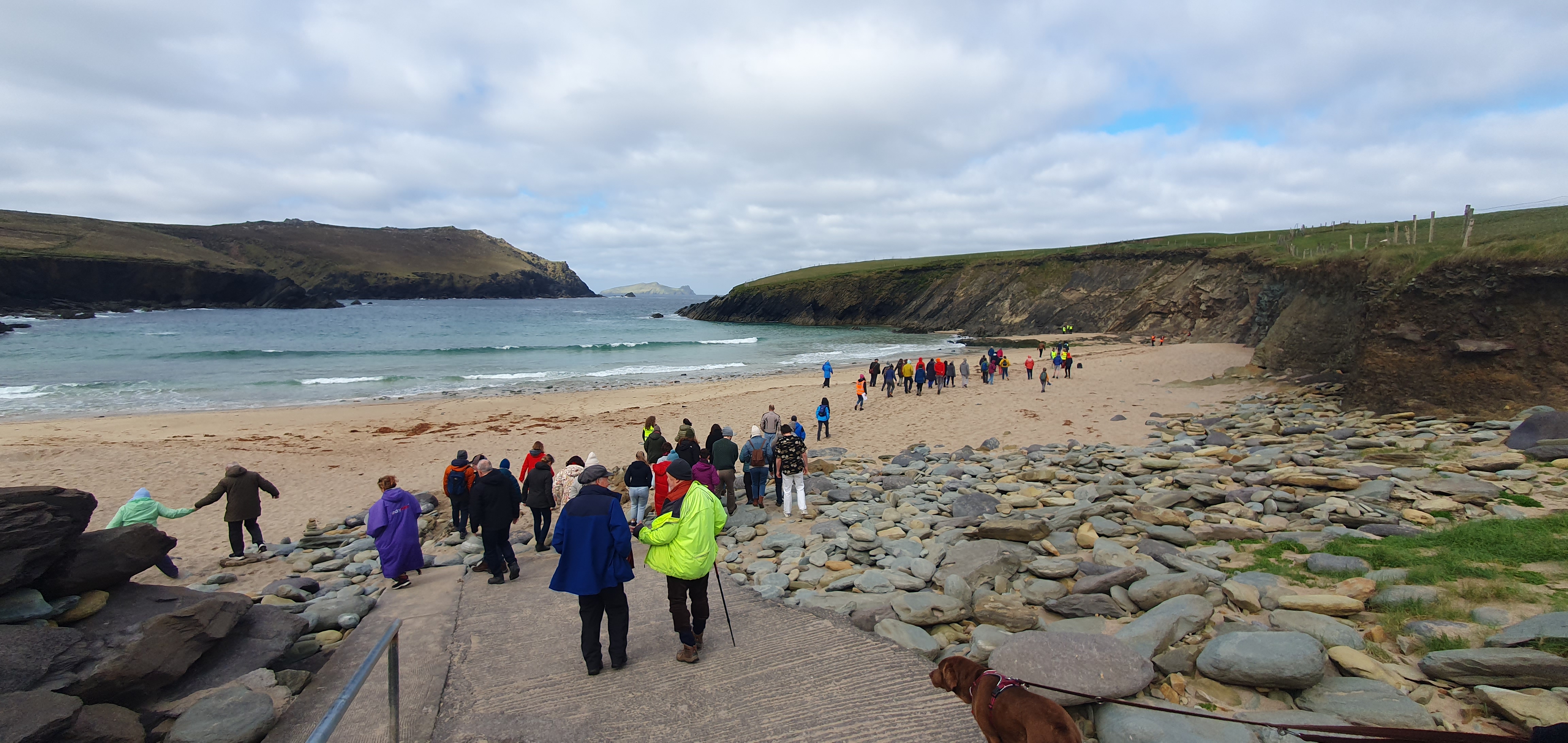 Illustrative image showing a group of people, some in high vis jackets, at a coastal event on a beach with rocks, the sea, and an island visible