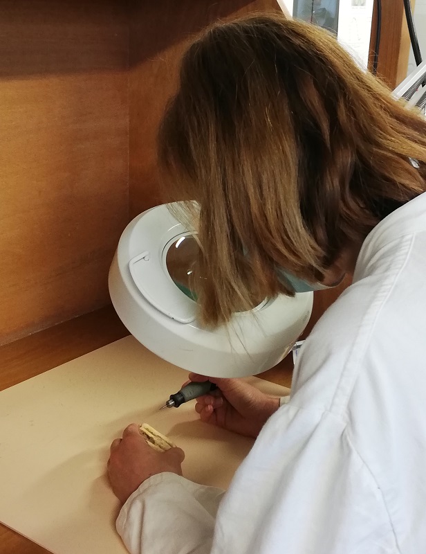 Female scientist at a lab bench analysing Neolithic cattle teeth