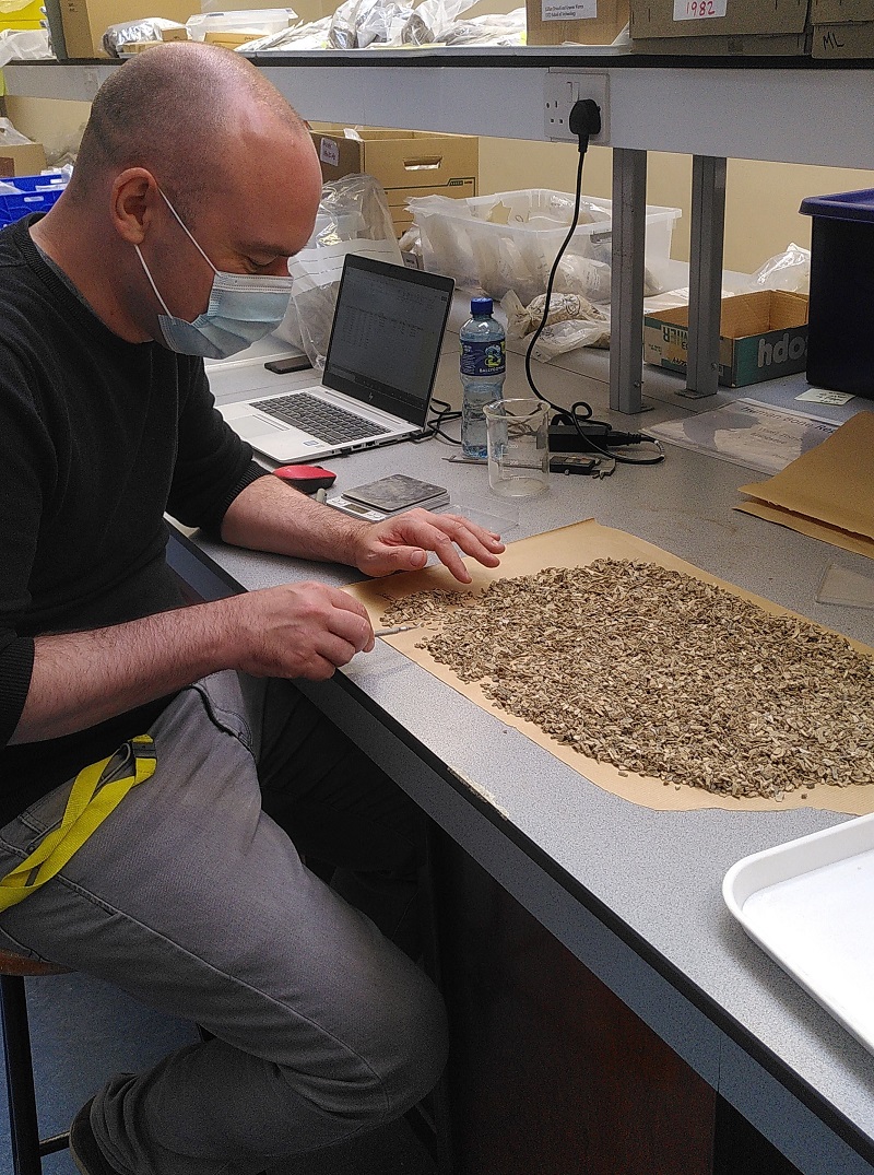 A male scientist working at a lab bench sampling cremated human bone