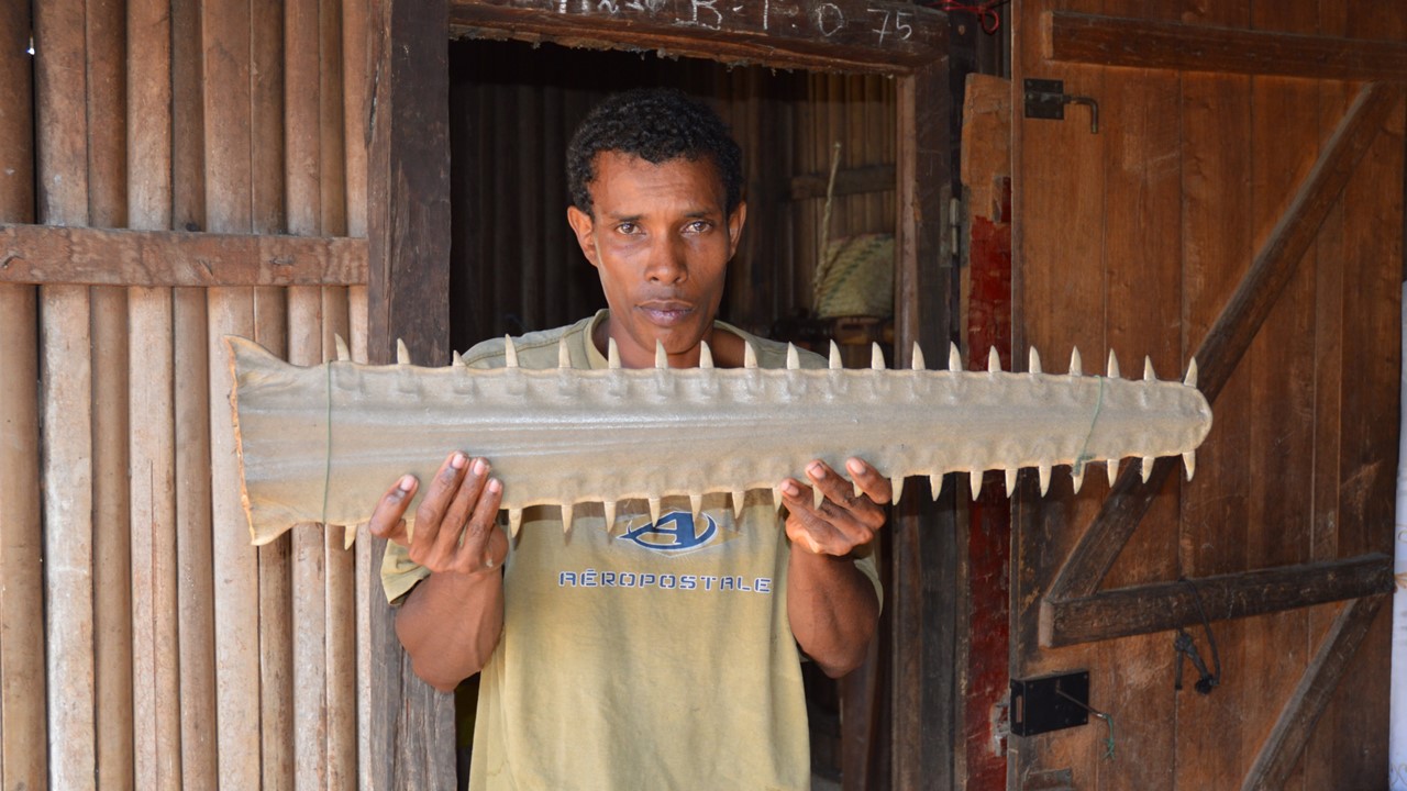 Man holding a skate jaw bone