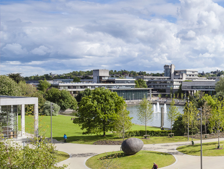 image of the UCD lake