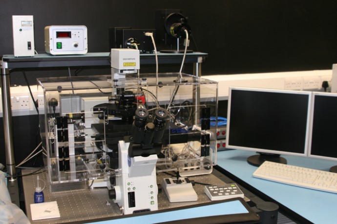 Olympus FV1000 confocal microscope