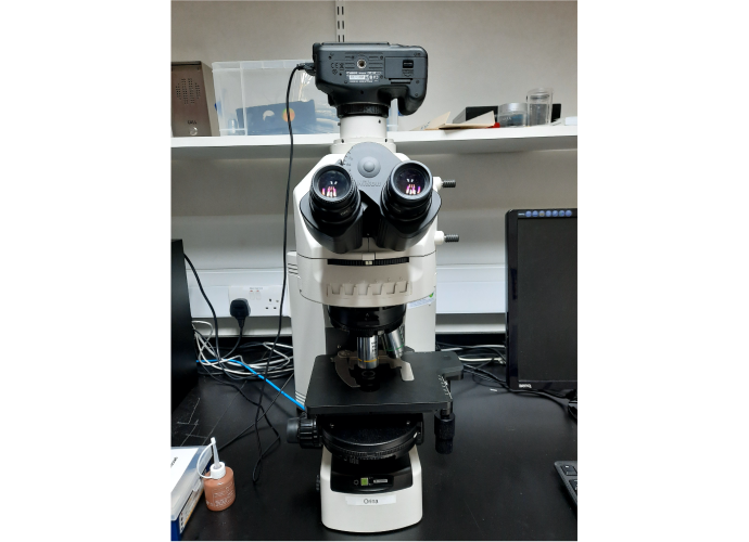 Orina transmitted light microscope