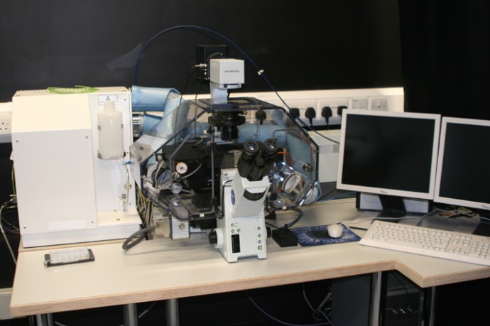 Olympus ScanR epi-fluorescent HCS microscope