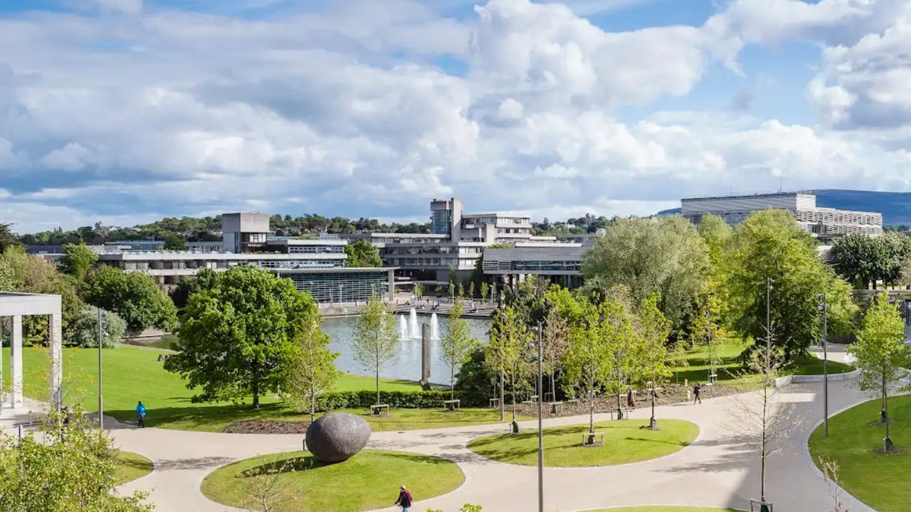 The best of UCD in the area of food and health research