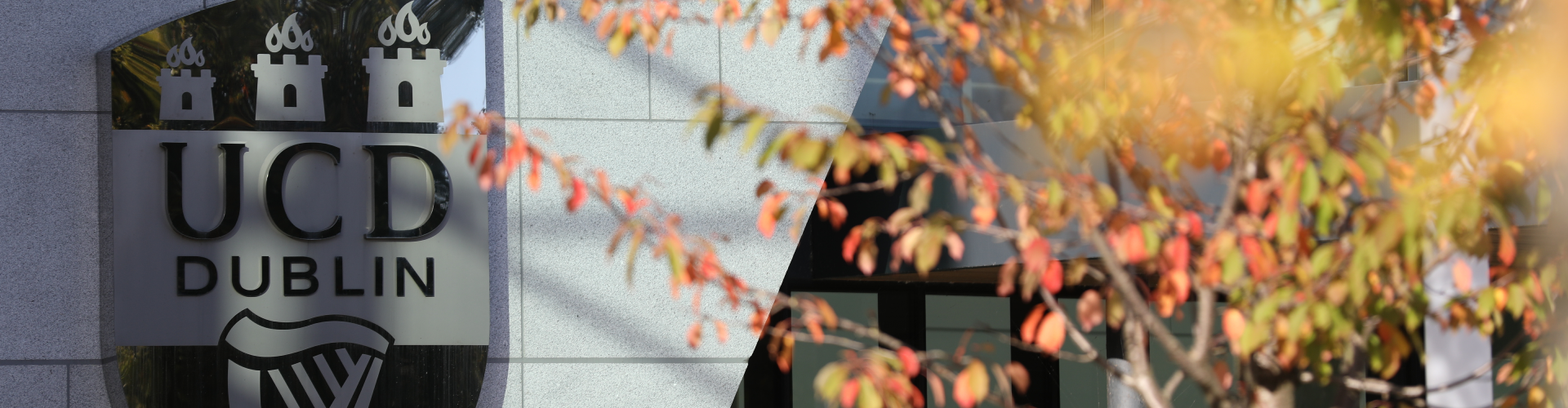 UCD Autumn