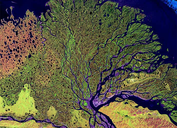 Satellite image of a river delta with branching channels and green vegetation. The water appears dark blue and purple, with surrounding wetlands and patterned ground in shades of green, brown, and yellow.