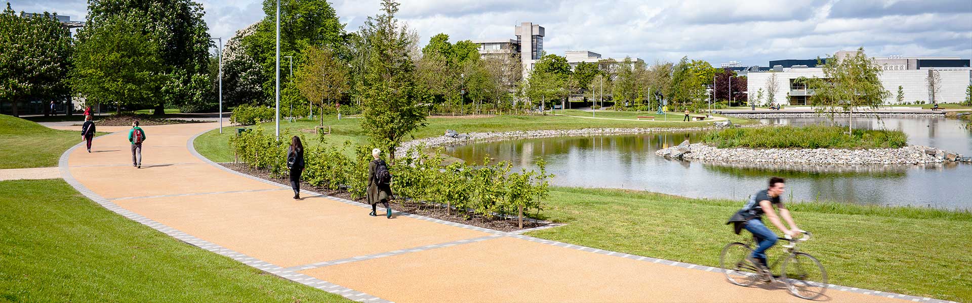 Pedestrians and cyclists use a wide pathway curved around a lake on UCD campus.