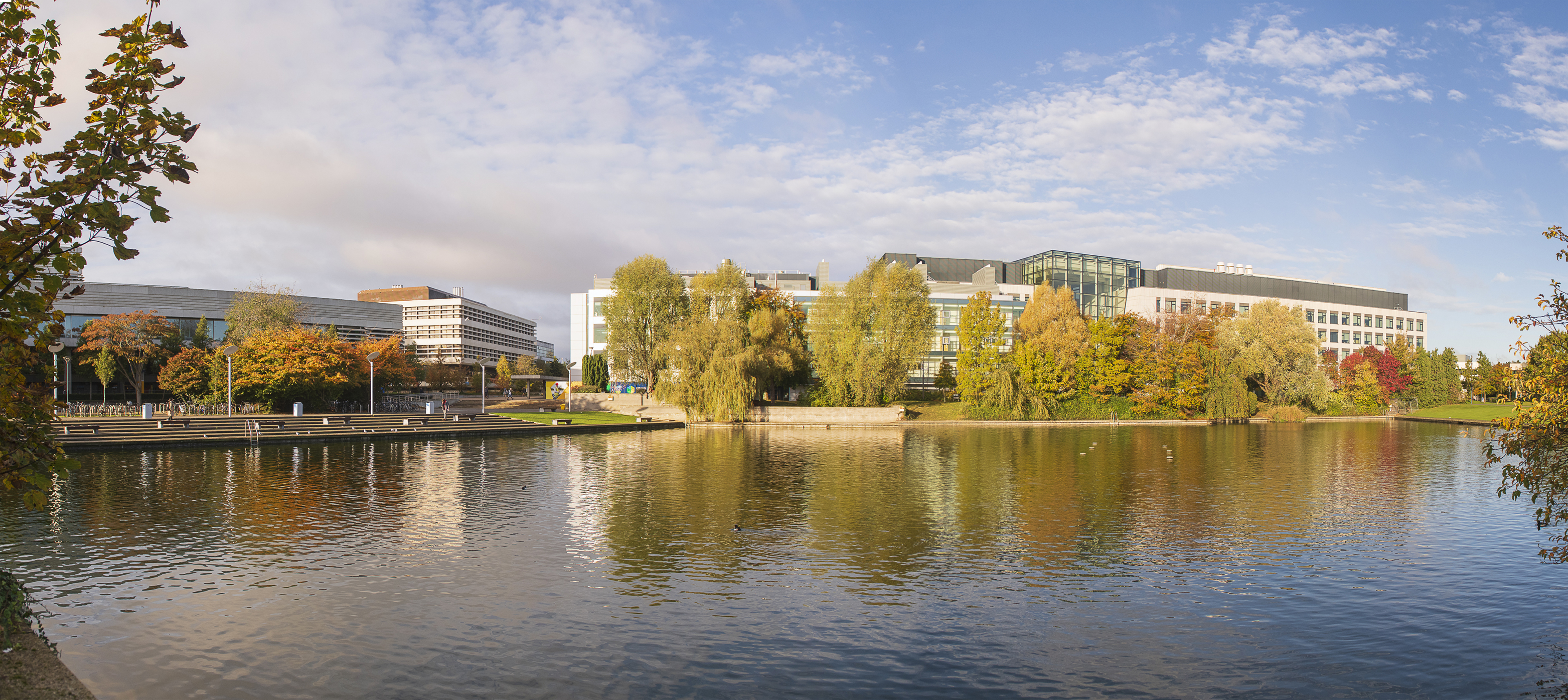 UCD campus