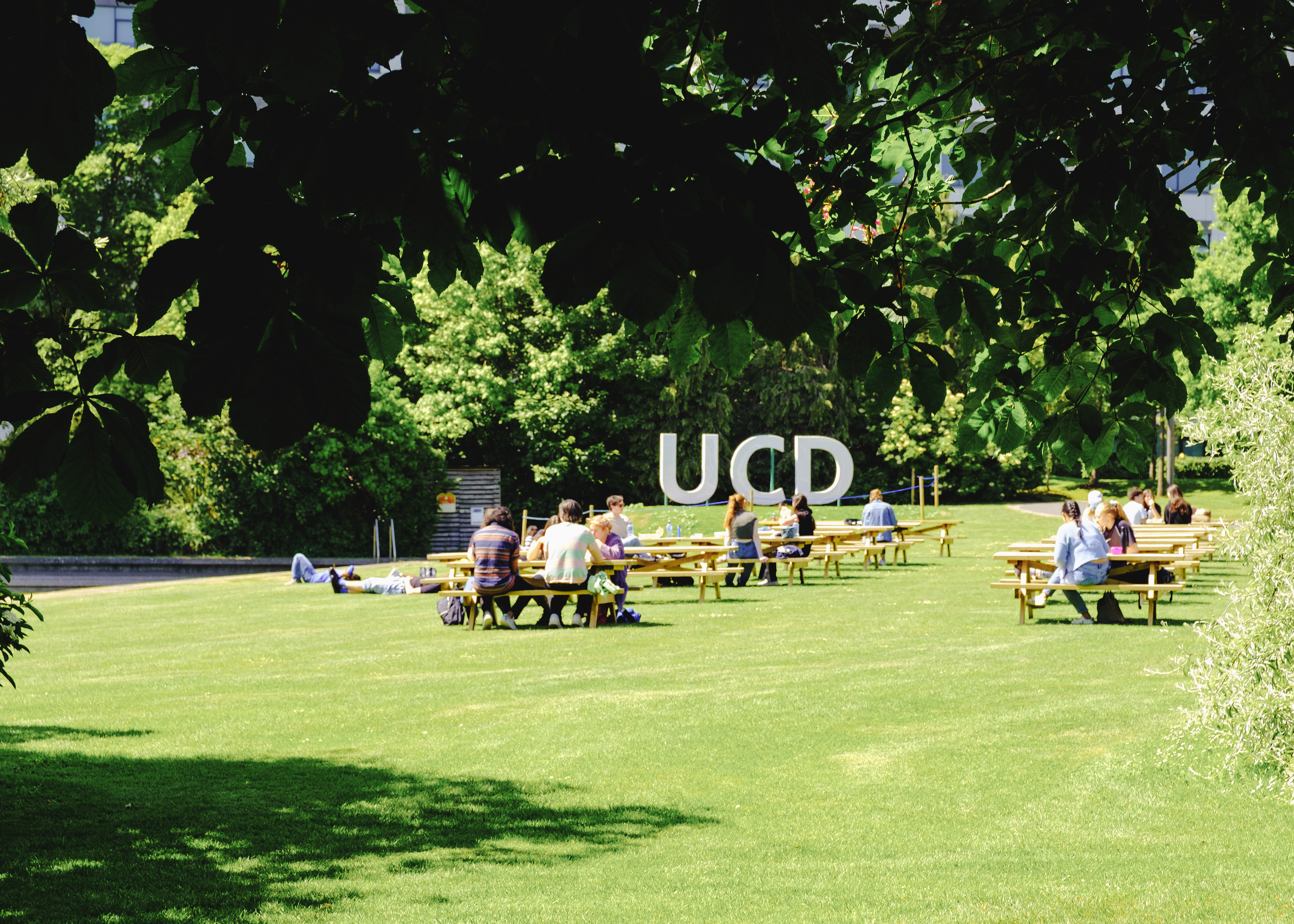 Large UCD letters beside the Belfield Lake with students sitting on benches in the foreground