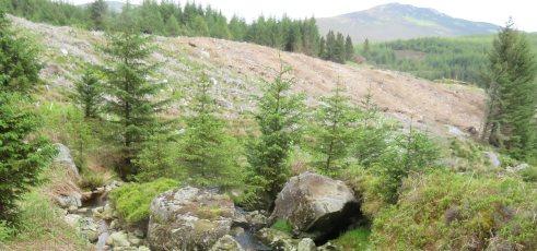 Stream running through recently harvested conifer plantation, Wicklow.