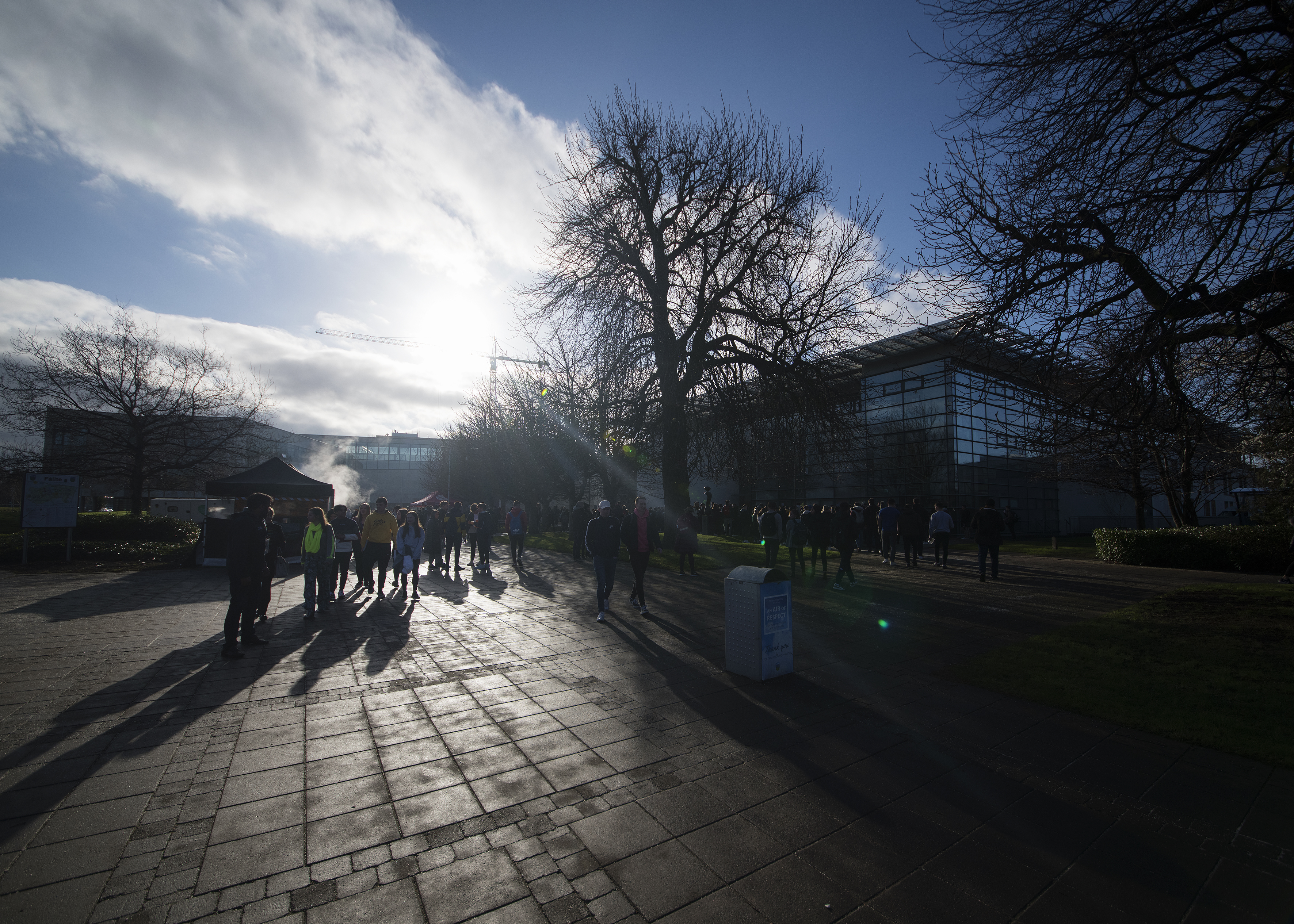 View of UCD campus with a tree in the foreground and a cloudy sky