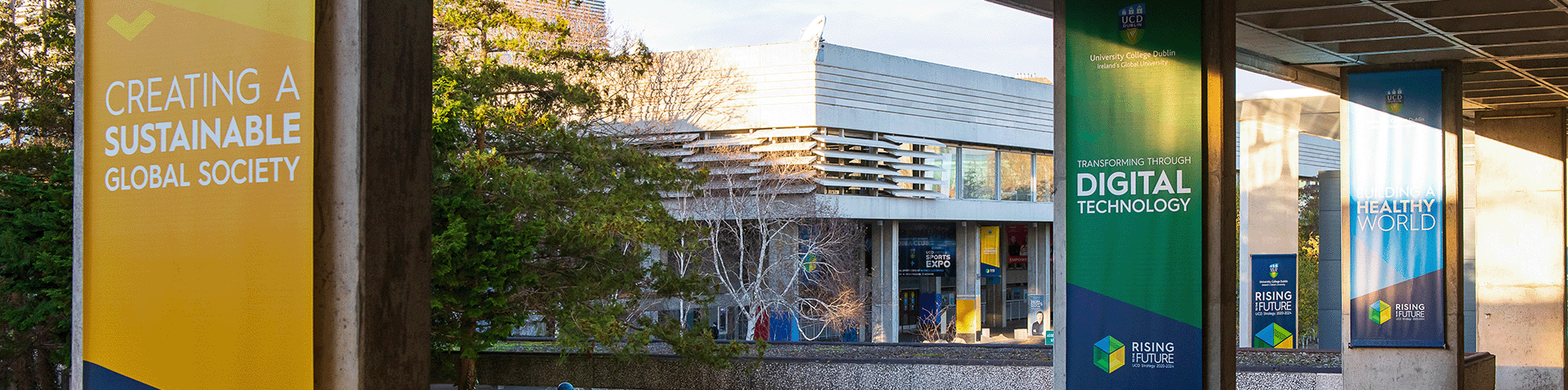 View of UCD Campus