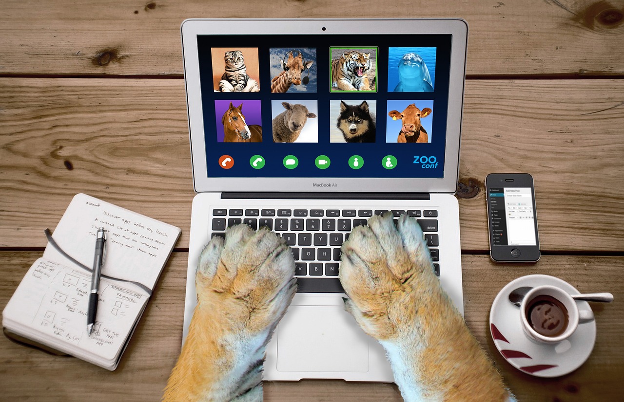 Picture of a laptop on a desk with a video call on screen, two paws are visible on the keyboard