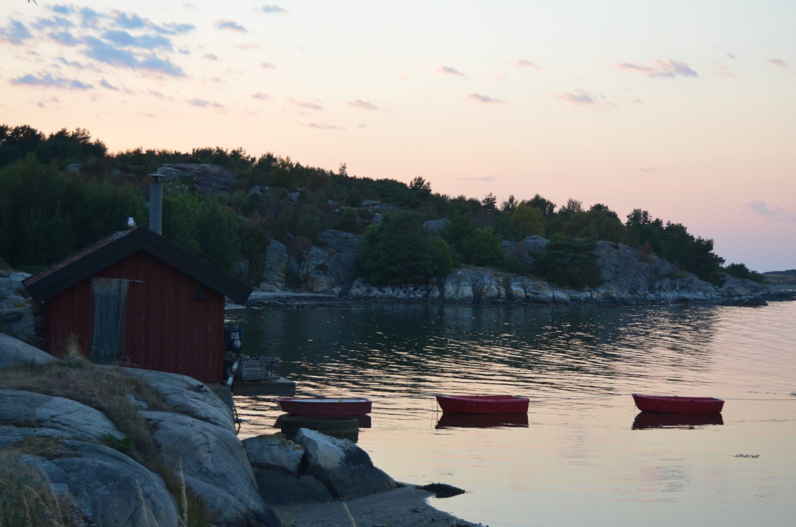 Coastal scene at sunset showing boats and coastline with forests and trees