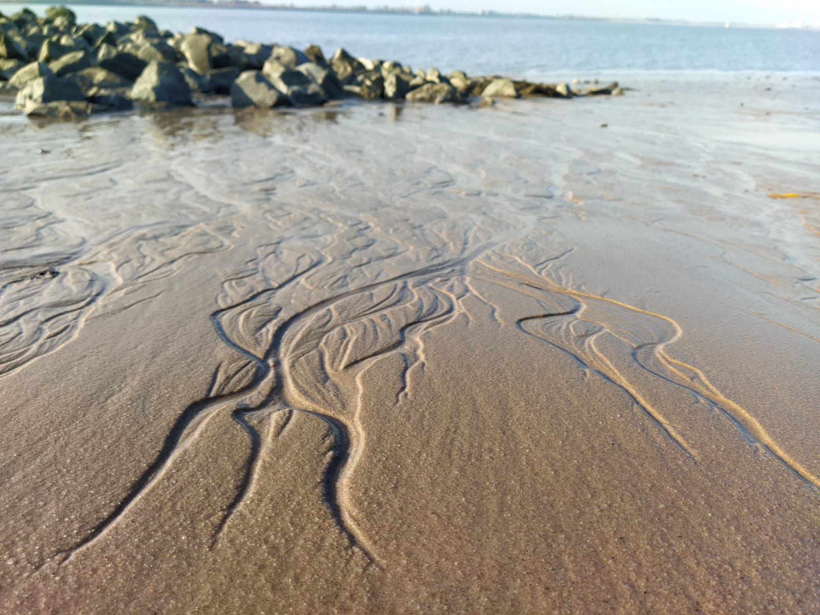 Image of tracks on a beach with rocks in the foreground and horizon visible in the background